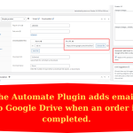 WooCommerce WordPress Plugin: Automatically Share Google Drive Permissions After Purchase
