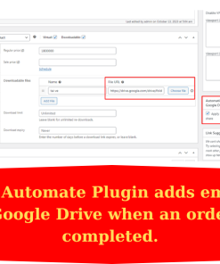 WooCommerce WordPress Plugin: Automatically Share Google Drive Permissions After Purchase
